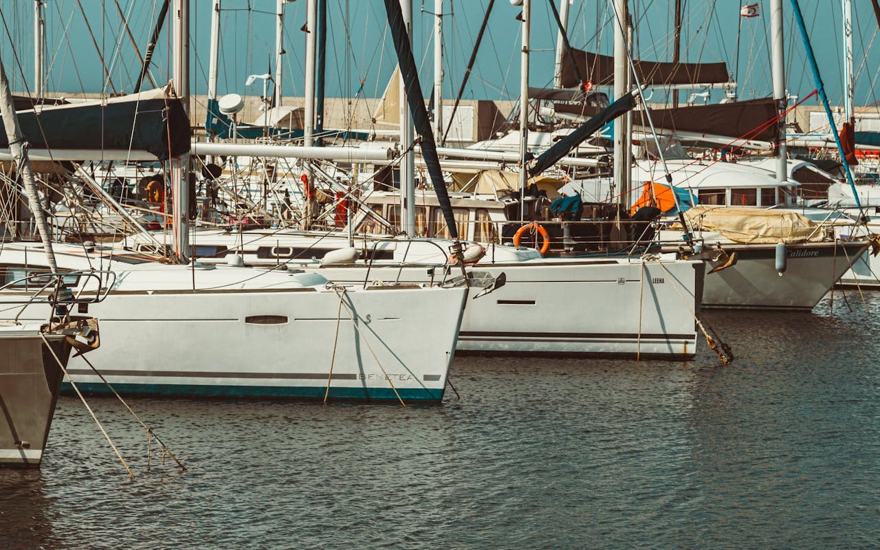 pexels-chizon-27917480