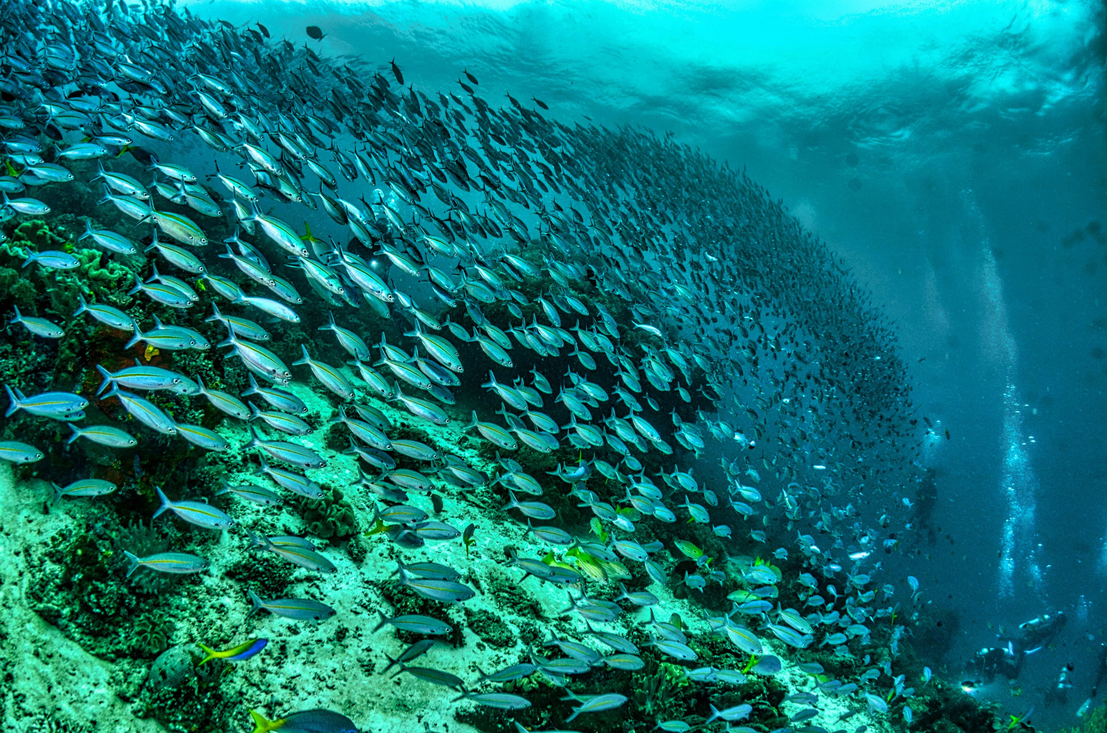 pexels-tomfisk-4618220